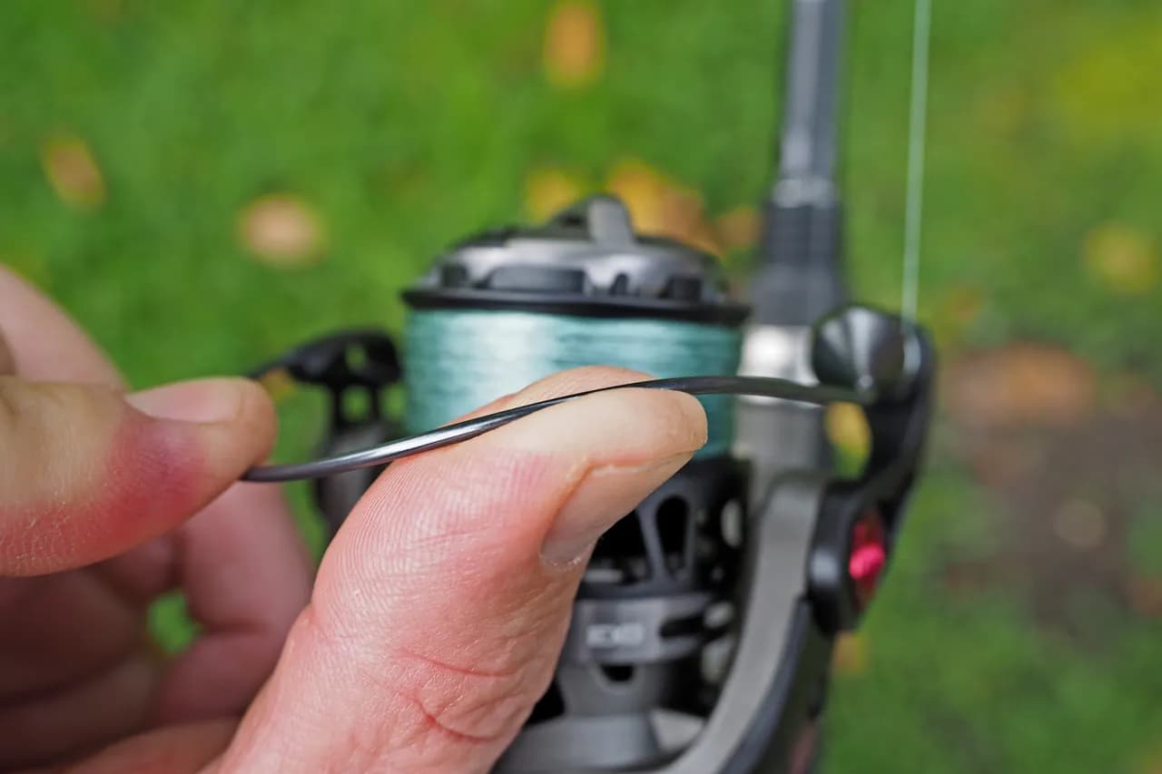 Welche Angelrolle zum Spinnfischen: Die besten Empfehlungen und Tipps