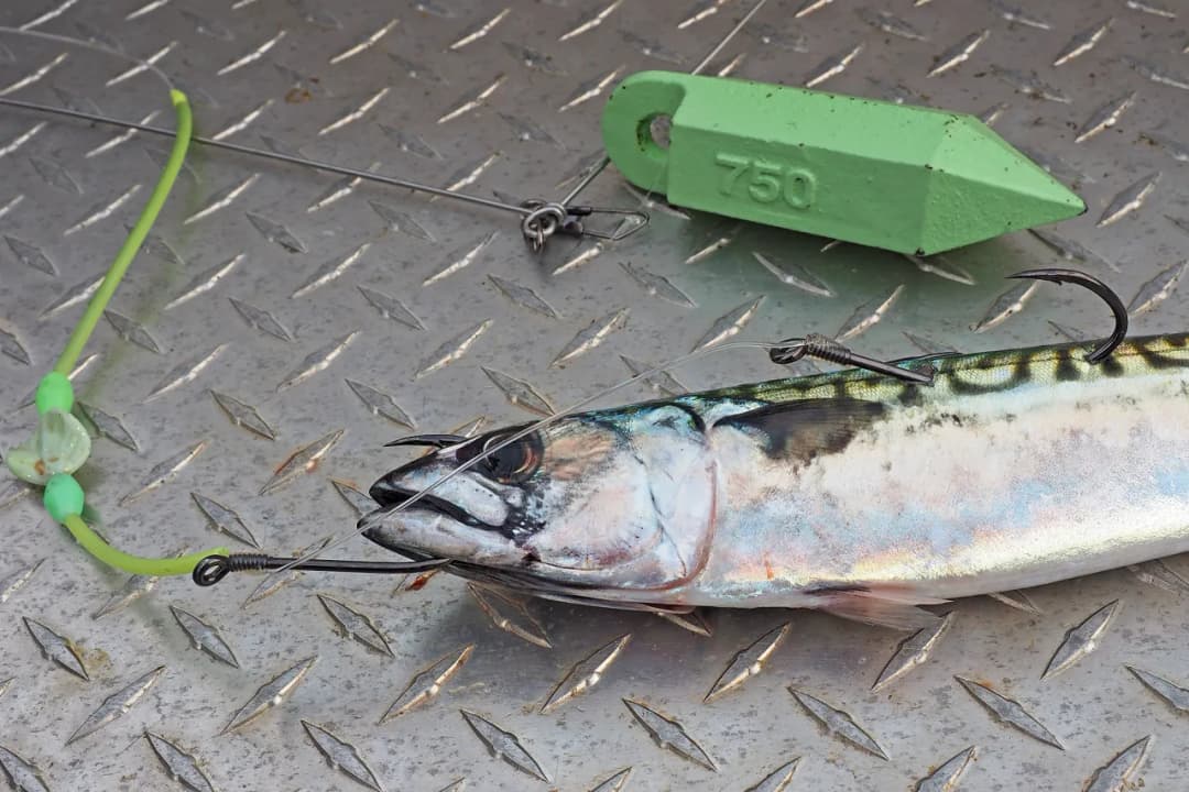 Die besten Köder für Norwegen: So fangen Sie garantiert mehr Fische
