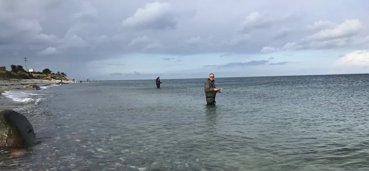 Die besten Köder für Meerforelle: So fangen Sie garantiert mehr Fische