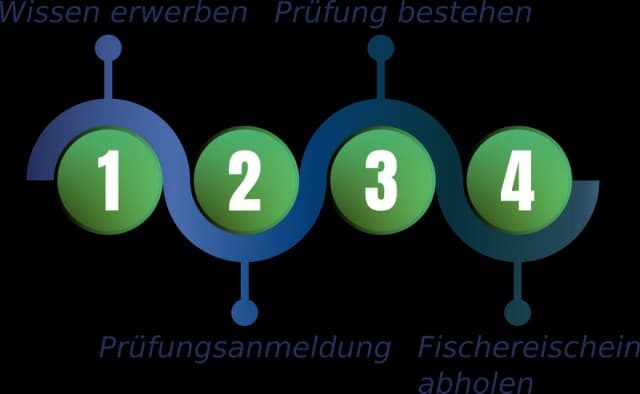 Wie teuer ist ein Angelschein in Niedersachsen? Kosten und Tipps für Angler