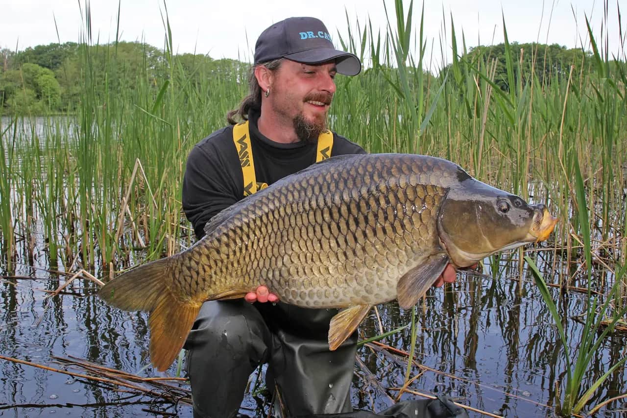 Wo kann man angeln gehen ohne Angelschein? Finde legale Plätze!