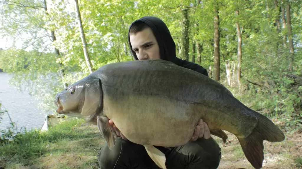 Welcher Boilie Geschmack für Karpfen ist am effektivsten im Angeln?