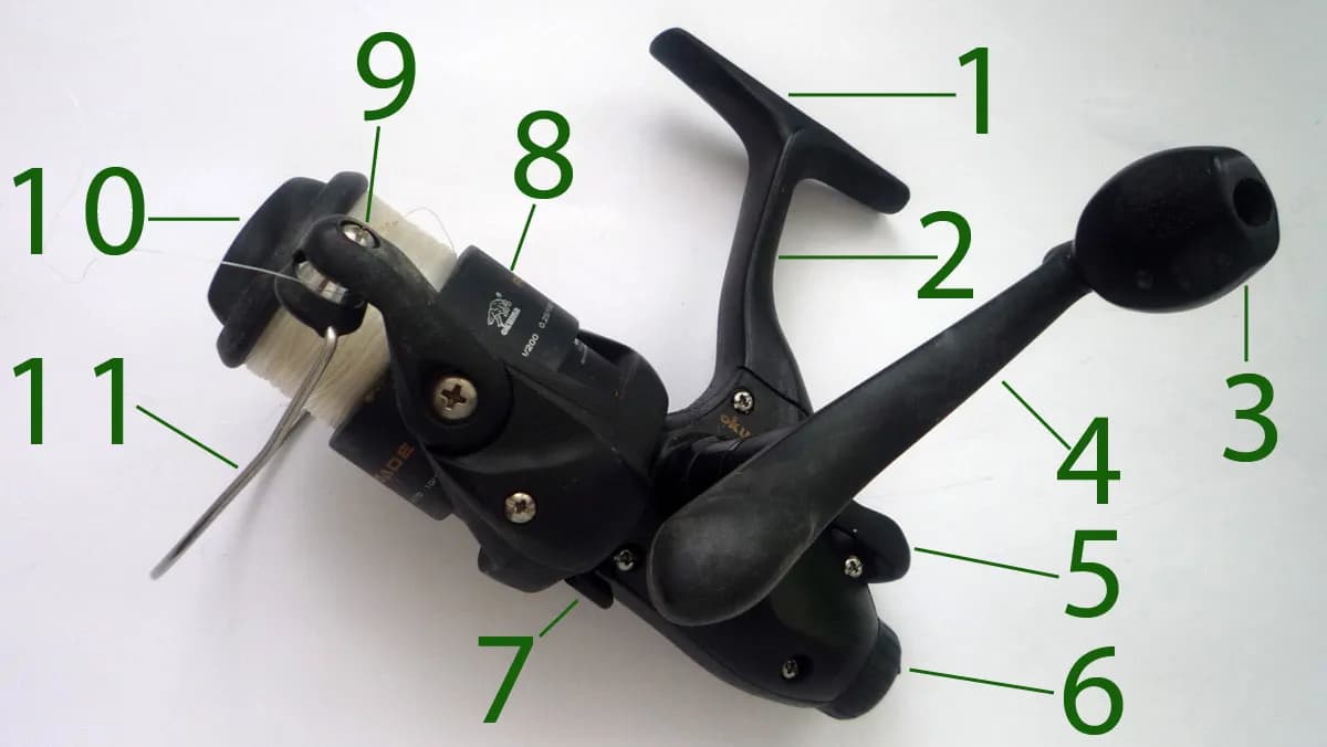 So funktioniert eine Angelrolle: Alles über ihre Komponenten und Nutzung