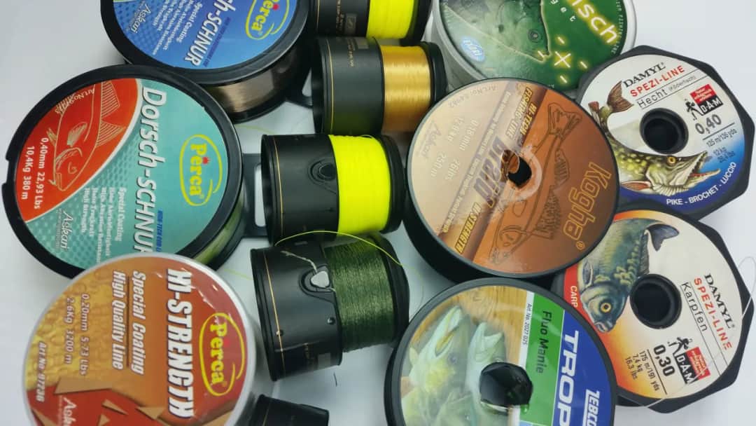 Die richtige Angelschnur für Barsch: So fängst du mehr Fische